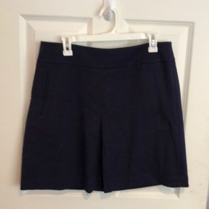Navy blue skirt